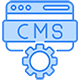 Content Management Systems